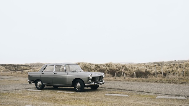 vehicle